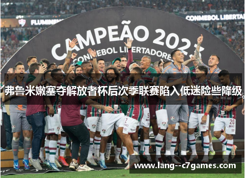 弗鲁米嫩塞夺解放者杯后次季联赛陷入低迷险些降级 弗鲁米嫩塞夺解放者杯后次季联赛陷入低迷险些降级