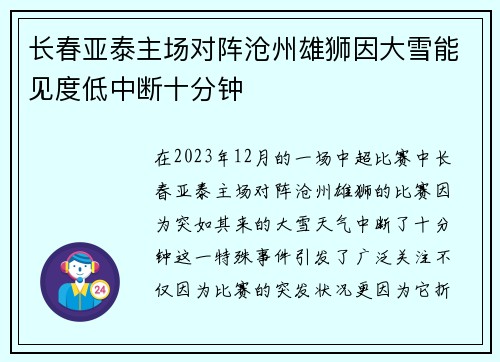 长春亚泰主场对阵沧州雄狮因大雪能见度低中断十分钟